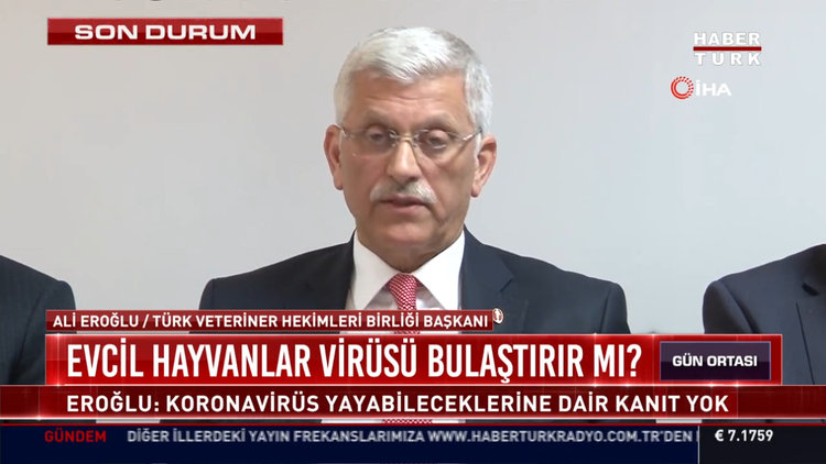 Evcil hayvanlar virüsü bulaştırır mı?