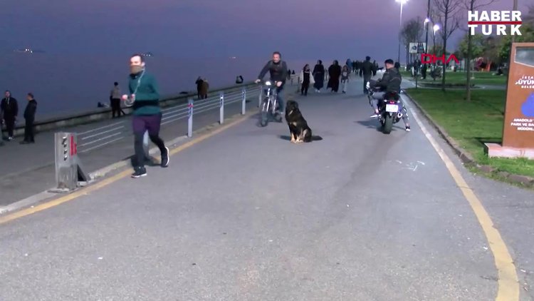 Evlerinden çıkan İstanbul'lular Caddebostan sahiline koştu