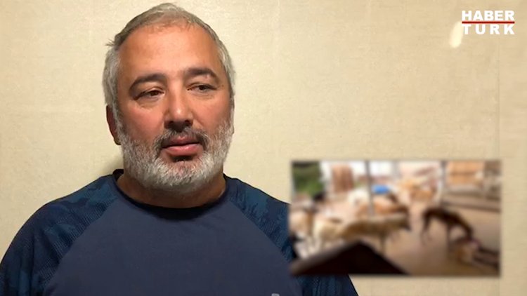 Barınak'ta vahşet!