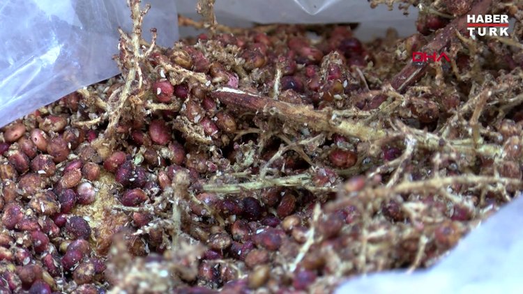 Sumak satışları arttı, uzmanlar vatandaşı uyardı