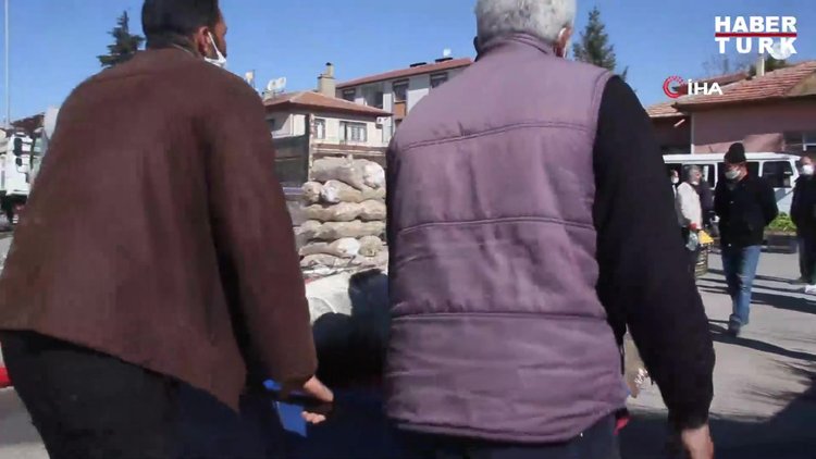 Dev turna balıklarını görmek isteyenler şaşkınlıktan sosyal mesafeyi unuttu