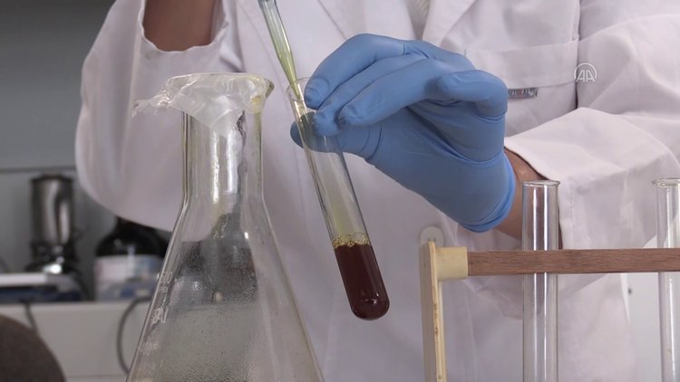 Uzmanından merdiven altı "propolis" uyarısı