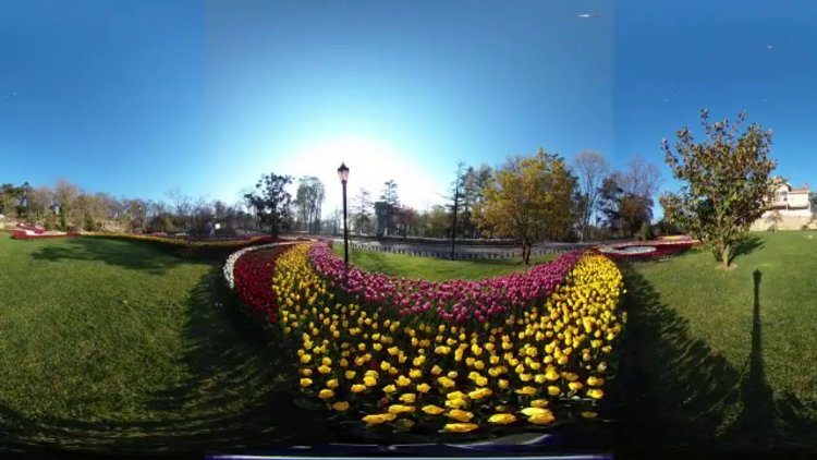 İstanbul Valisi'nden 'lale mevsimi' paylaşımı