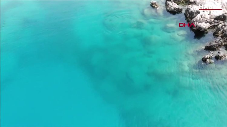 Akdeniz foku, Üç Adalar'da görüntülendi