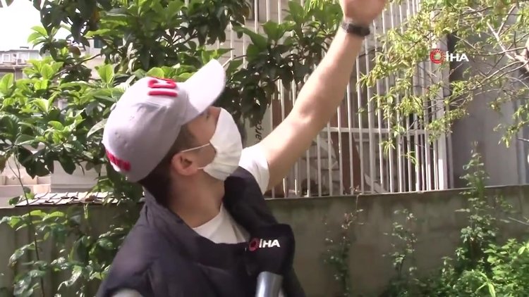 Bu nasıl vicdan! İple astılar