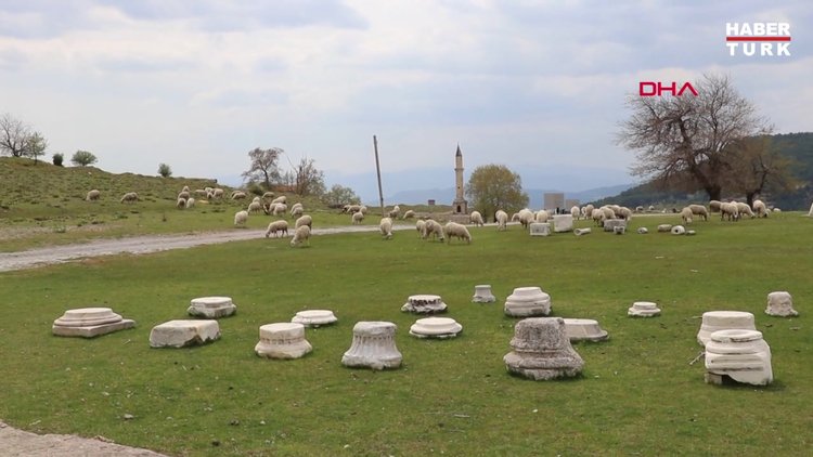 Antik kente koyun sürüsü girdi