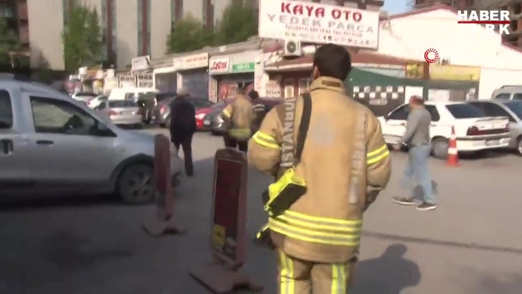 'Yılan merakı' koronavirüs korkusunun önüne geçti