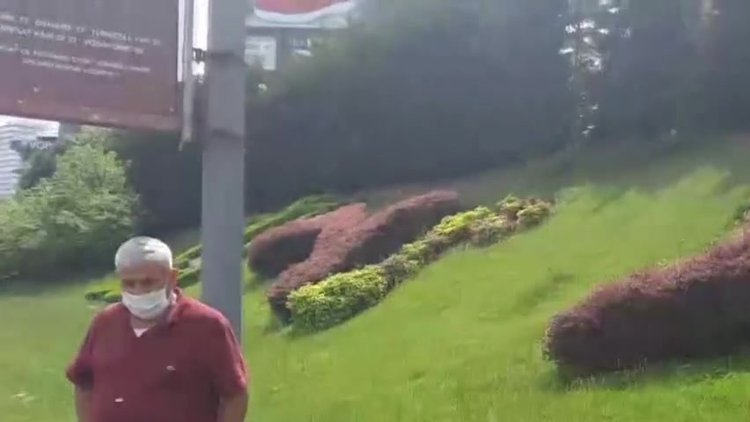 Sokağa çıkma yasağında İstanbul'un göbeğinde keçi otlattı