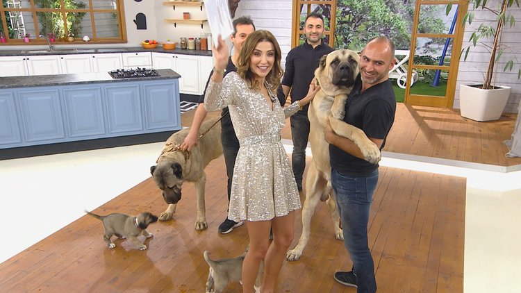 Hayat Güzeldir 6 Haziran'dan itibaren haftasonu 08.15'te Show TV'de!