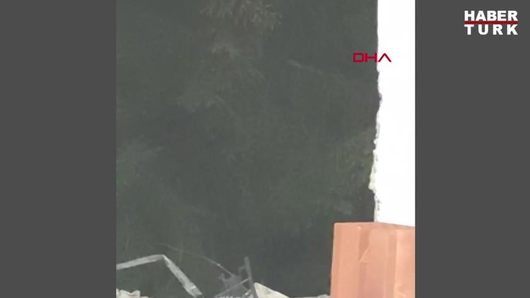 Evin bahçesine giren boz ayı kamerada