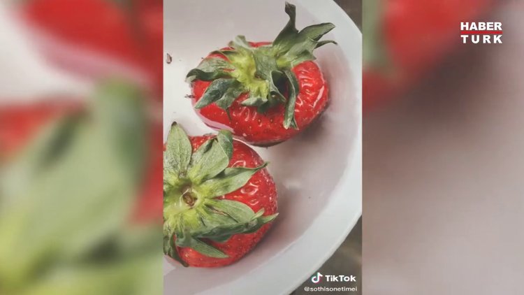 Çilek deneyinin aslı ortaya çıktı!