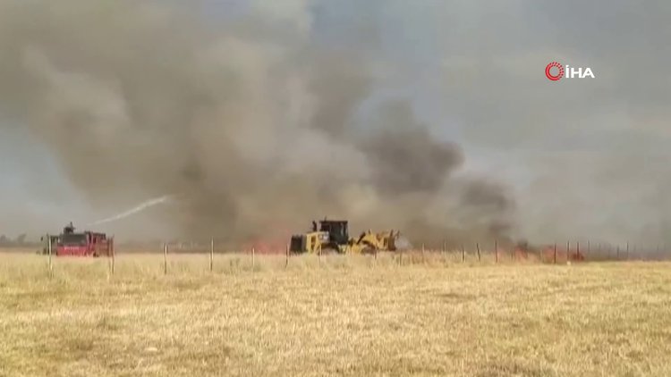 Ateşe verip kaçtılar...600 dönüm buğday ekili tarla küle döndü | Video