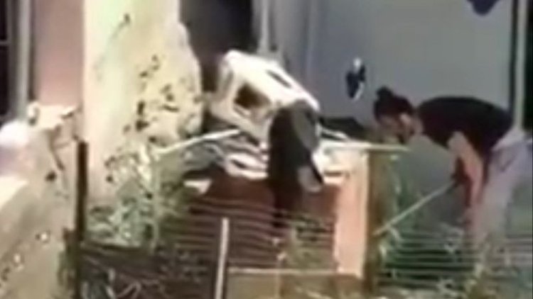 Kaçan köpeğine şiddet uyguladı, görüntülere tepki yağdı