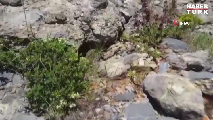 Tunceli'de Wagner Engereği tespit edildi