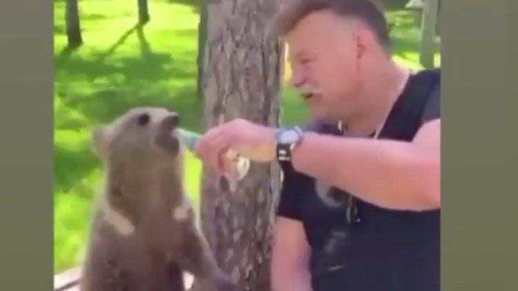 Nuri Alço ayı yavrusuna gazoz içirdi