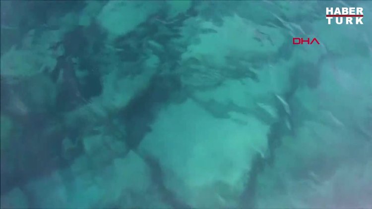 Çekim yaparken balon balığı parmağını koparıyordu