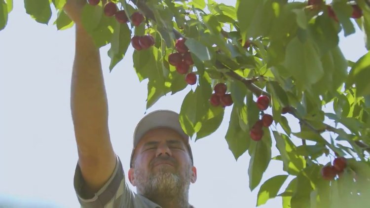 Fahrettin Altun: Sen yeterki üret, arkanda dağ gibi duranlar var