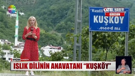 Video poster resmi