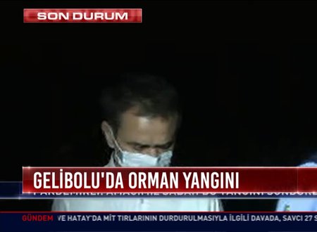 Gelibolu Yangin Haberleri Son Dakika Gelibolu Daki Yangin Kontrol Altina Alindi Son Dakika Haberleri
