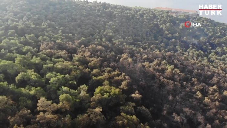 Heybeliada'da yangının neden olduğu tahribat sabahın ilk ışıklarıyla gözler önüne serildi