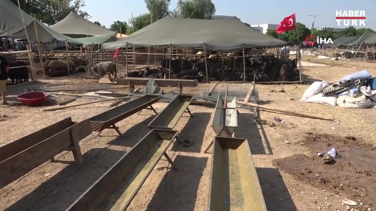 Kurban pazarında yer kavgası: 2 ağır yaralı