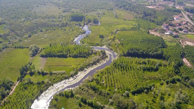 Sakarya'nın saklı kalmış cennetini besleyen dere siyaha büründü