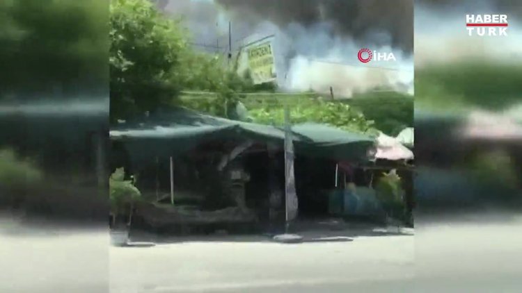 İzmir'de bir orman yangını daha çıktı