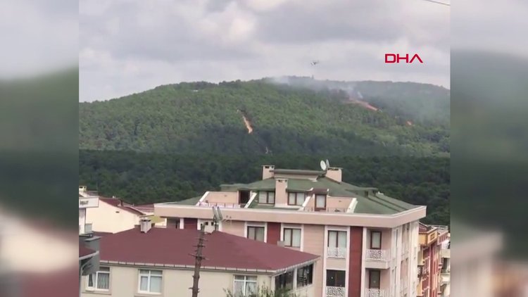 KARTAL AYDOS ORMANI'NDA YANGIN