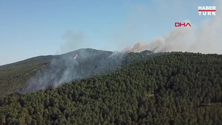 KARTAL AYDOS'TA ORMANLIK ALANDA YANGIN