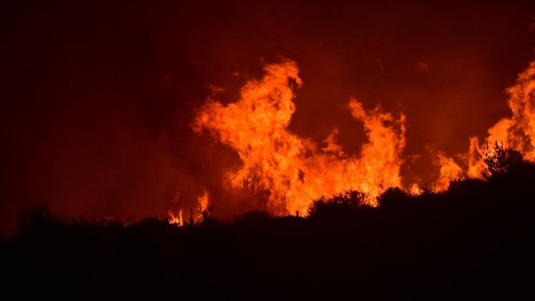 Bakanı Pakdemirli'den Çeşme'deki yangına ilişkin açıklama