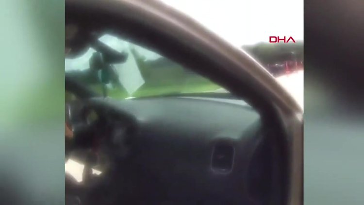 ABD'de polis aracına giren keçi resmi evrakları yedi, o anlar kameraya yansıdı