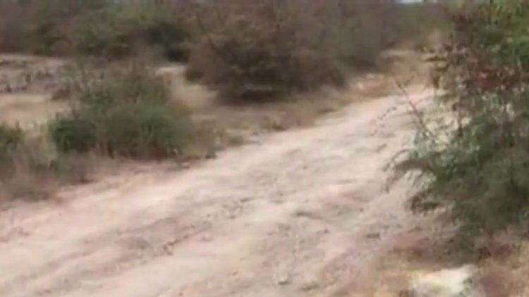 Çuval içinde ölüme terkedilen köpeği jandarma kurtardı