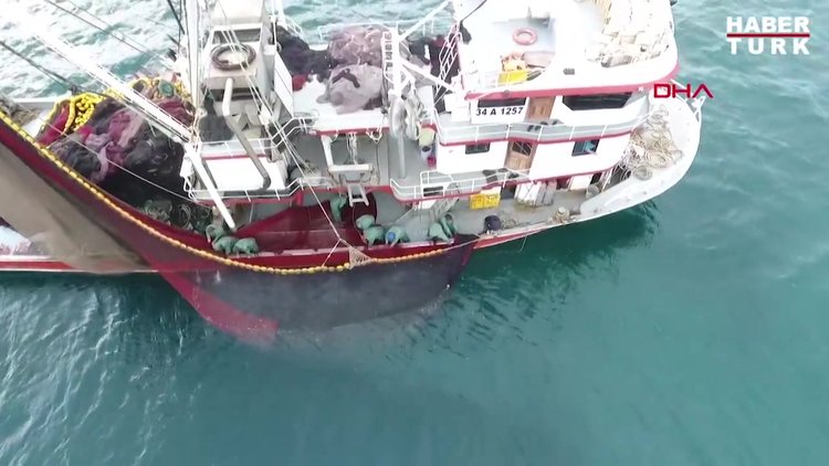 Sinop'ta palamut, tezgahlardaki yerini hamsiye bıraktı