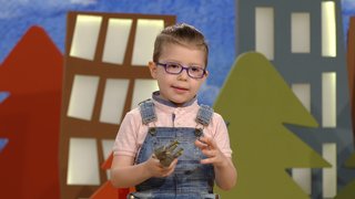 Günün ana soruları; 