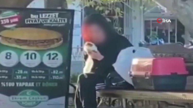 Beslediği hamsterı önce tokatladı, sonra ısırmaya çalıştı