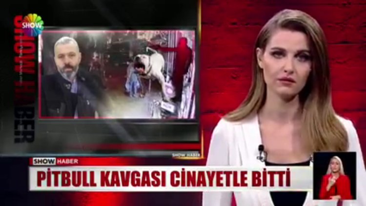 Pitbull tartışmasında korkunç cinayet! Uyardı, canından oldu