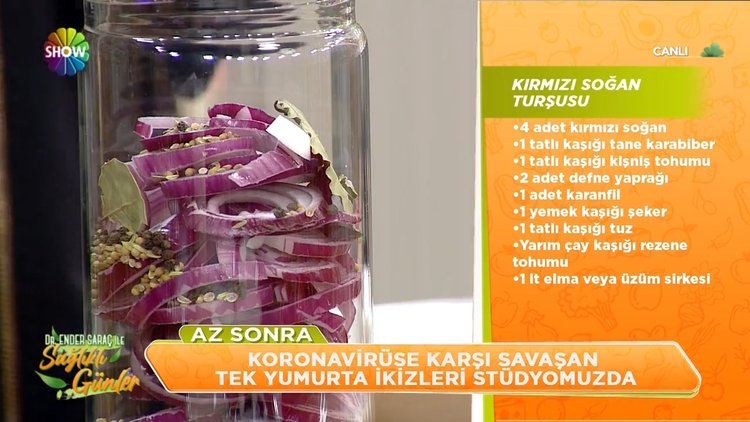 Kırmızı soğan turşusu