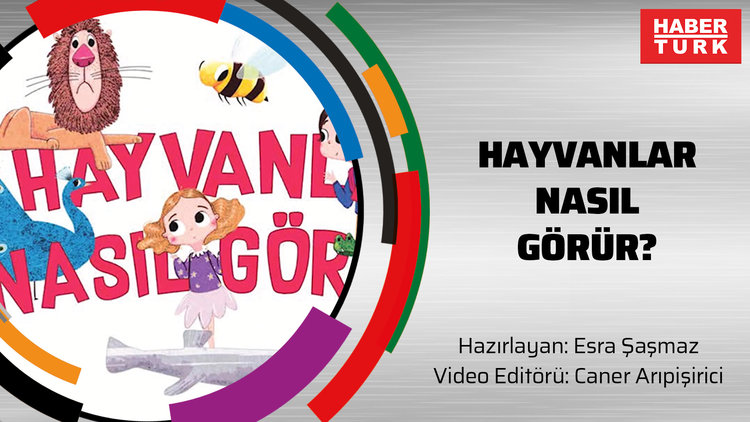 Hayvanlar nasıl görür?