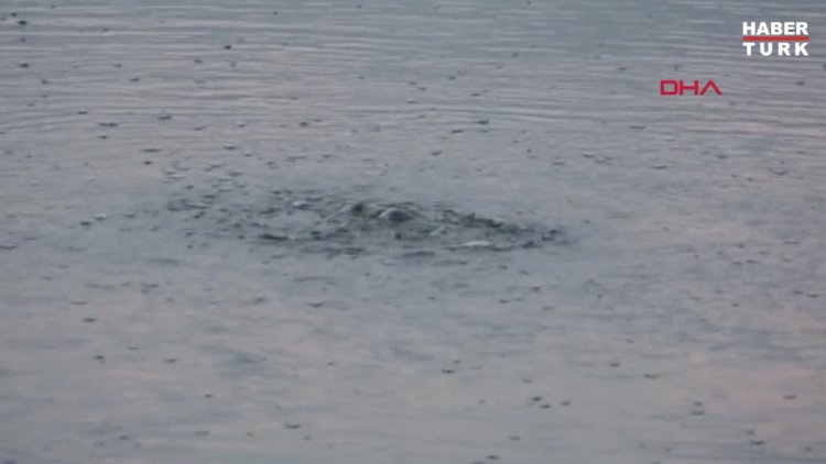 'Burdur Gölü'ndeki gaz çıkışı, olası bir depremin habercisi olabilir'