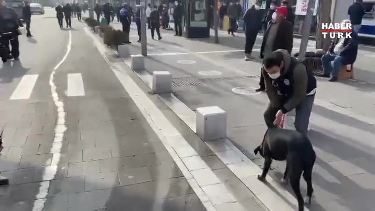 Uşak Emniyetinden sokak hayvanları için farkındalık çalışması