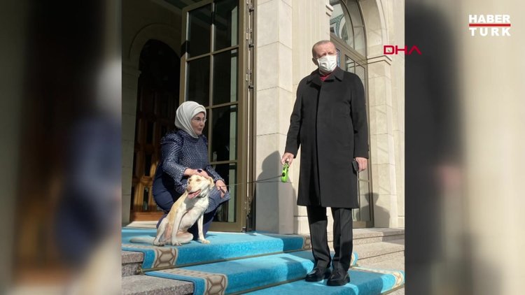 Emine Erdoğan, Cumhurbaşkanı Erdoğan'ı 'Leblebi' ile birlikte uğurladı