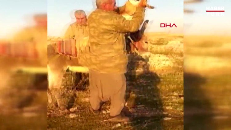 Şanlıurfada 3 ceylanı öldüren 4 kişi suçüstü yakalandı