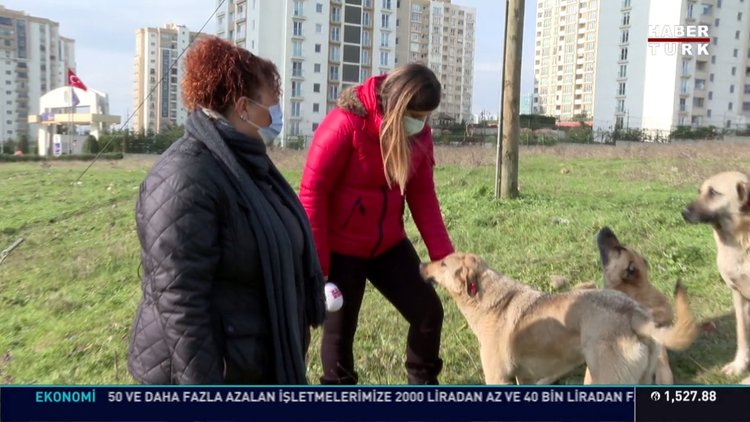 Hayvanlar 'mal' değil 'can'dır