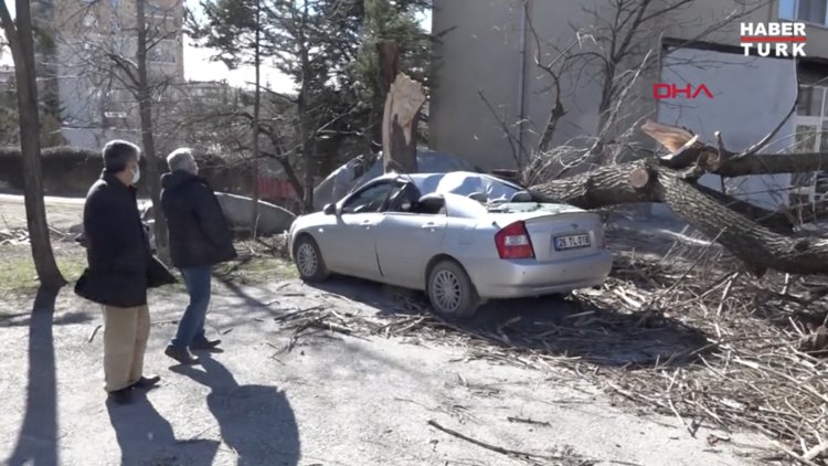 Birkaç saniye önce park ettiği otomobilinin üzerine ağaç devrildi