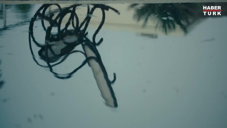 Kaliforniya'dan ödülle döndü