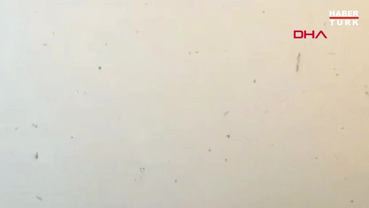 Avustralya'daki yangın yerleşim yerlerini tehdit ediyor