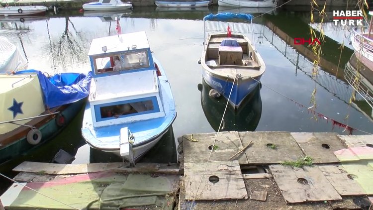 Küçükçekmece Gölü'nde iple bağlanmış halde köpek cesedi bulundu