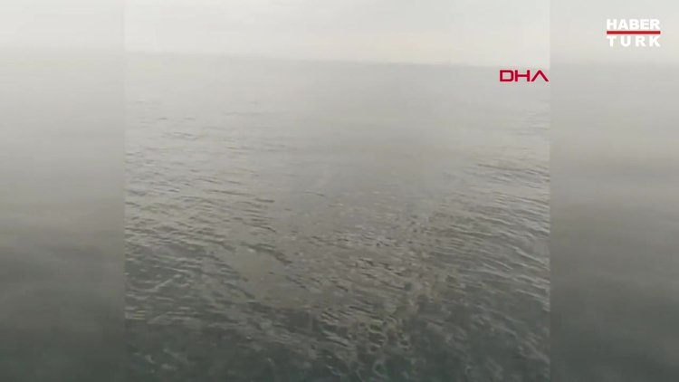 Balıkçıların kamerasına 15 metrelik oluklu balina takıldı