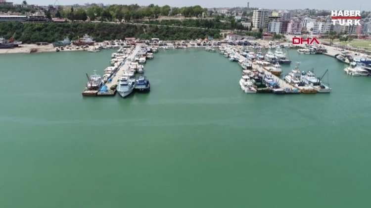 Adana'da 15 metre uzunluğunda dev Fin (Oluklu) balinasını görüntüleyen balıkçılar o anları anlattı.
