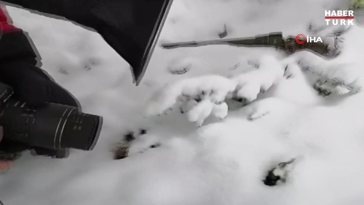 Bu çiçeği koparmanın cezası 80 bin lira